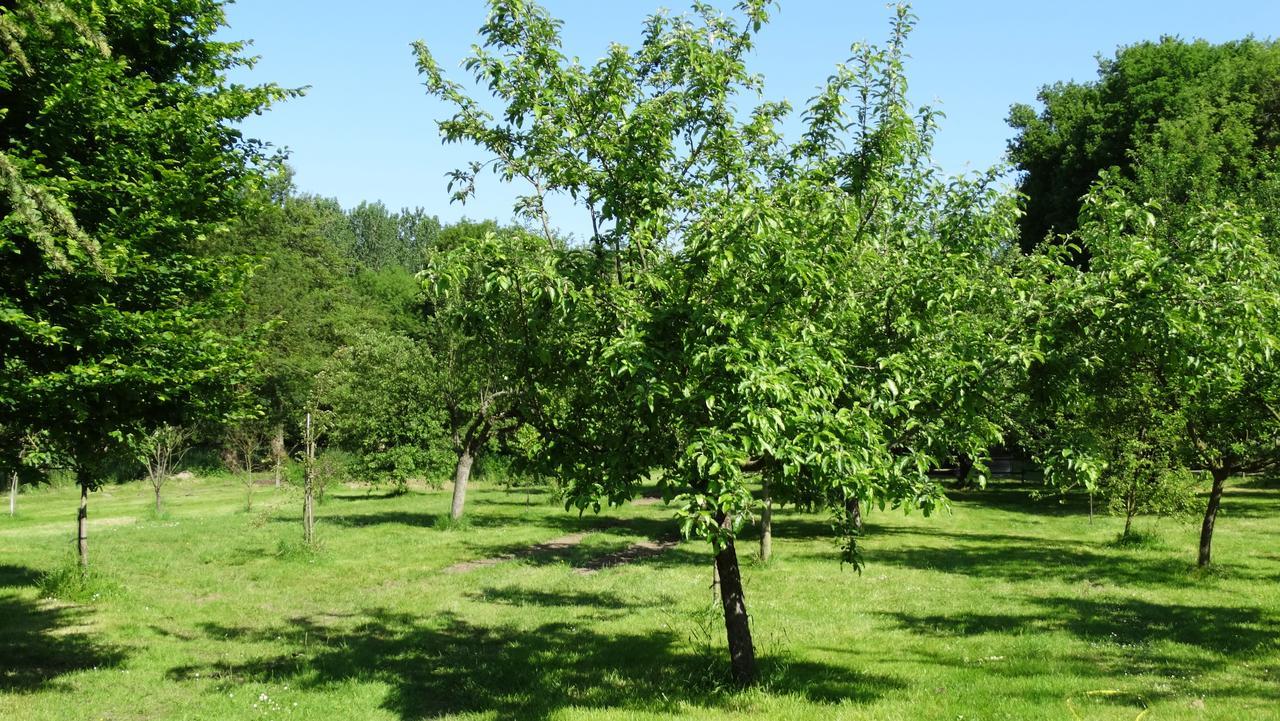 Bed and Breakfast Moulin De Reigner Anche  Экстерьер фото