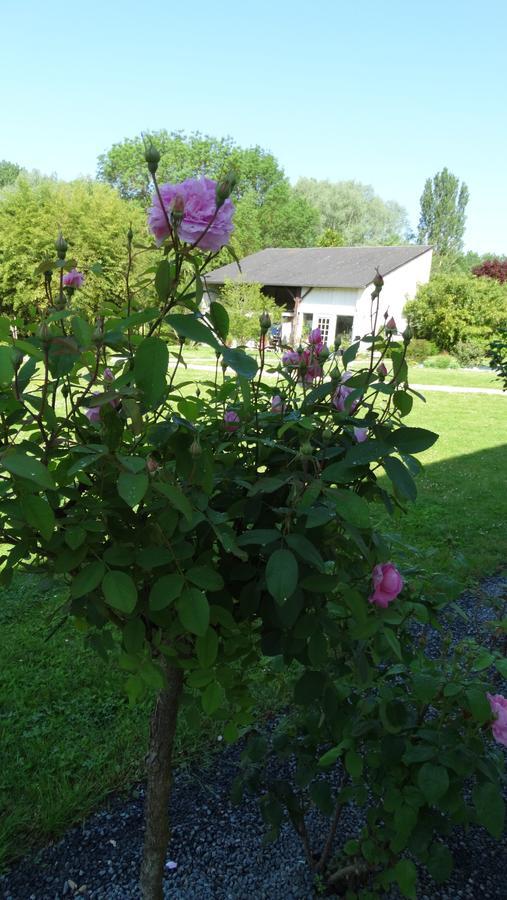 Bed and Breakfast Moulin De Reigner Anche  Экстерьер фото